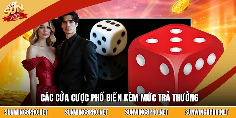Các cửa cược phổ biến kèm mức trả thưởng